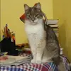 Отзыв от Надежда Леонова